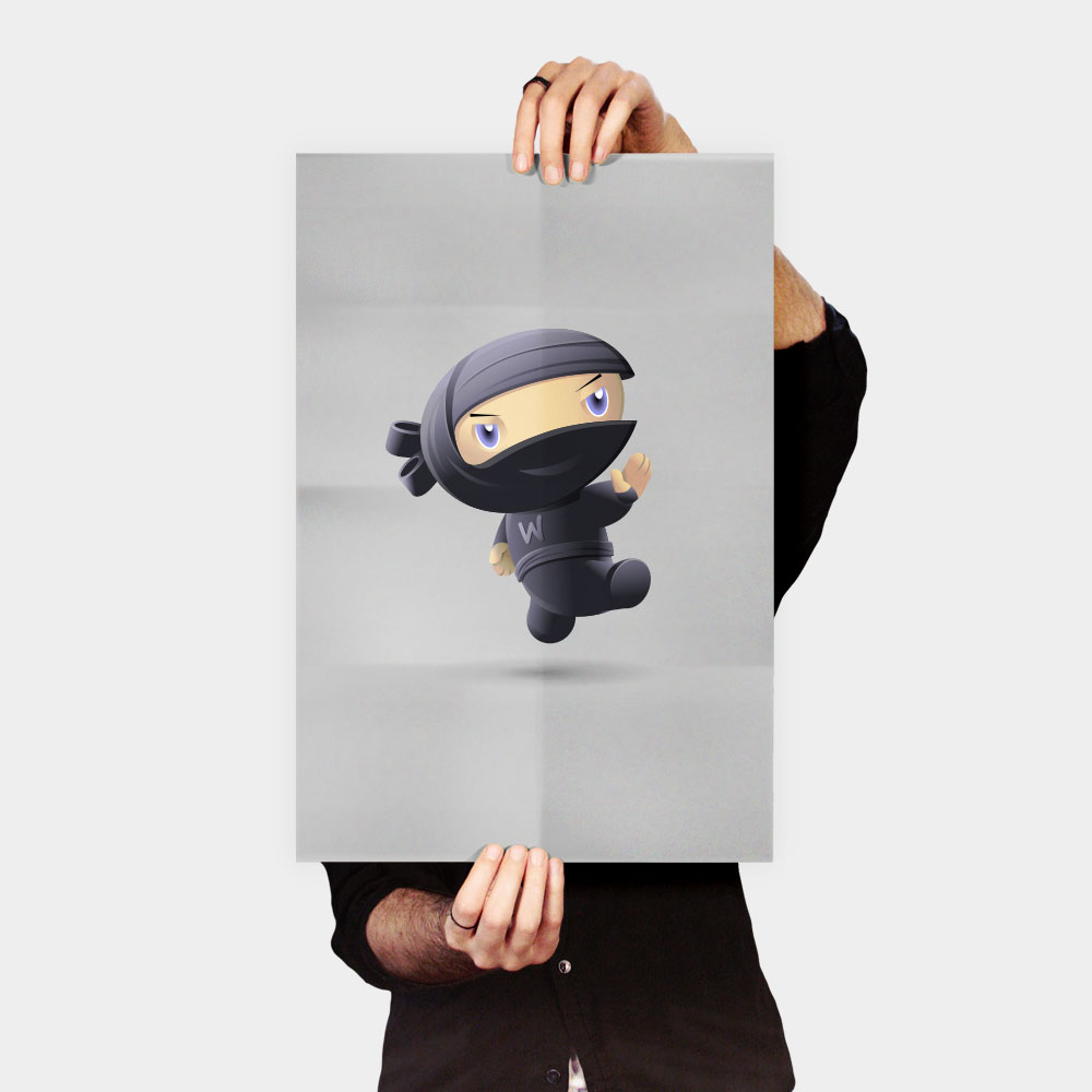 Flying Ninja Poster
