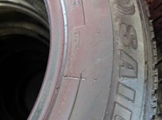 195/65R18 Atrezzo Tires
